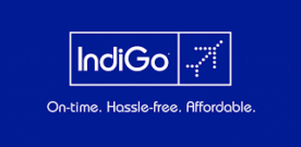 Indigo